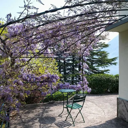 Il Tiglio Vista Lago *